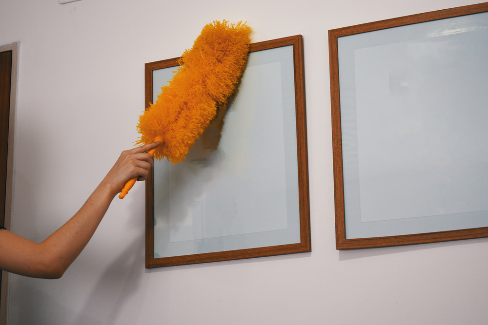 Quality museum cleaning services near me in Berkeley and San Mateo CA